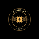 ST Budget Sound - Affordable Professional DJ Services