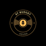 ST Budget Sound - Affordable Professional DJ Services in Minneapolis, St. Paul, and Western Wisconsin